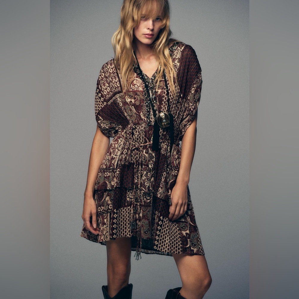 Zara BEADED PRINTED METALLIC THREAD DRESS